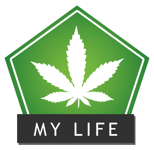 mylife-logo